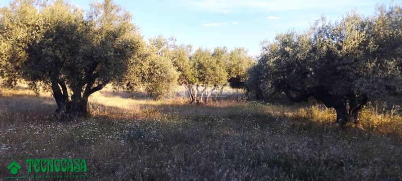 Foto 32848f8d-858e-485a-83d7-5225a30b3d2c. Finca rústica a Méntrida