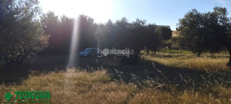 Foto 4b0c77a5-4b5f-400e-910f-b51999995406. Finca rústica a Méntrida