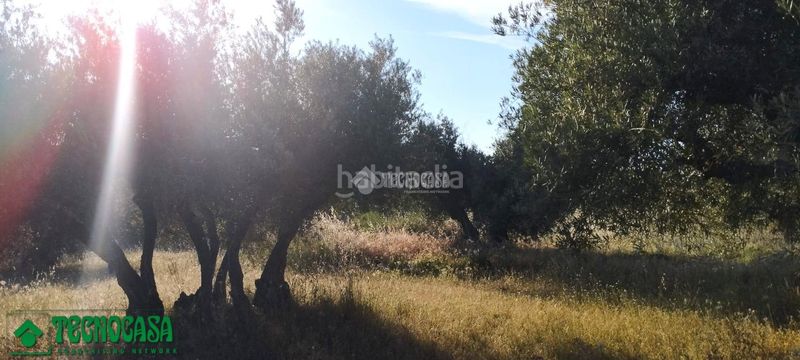 Foto 4b2268cc-127d-4147-afc3-358bcbb74d1d. Finca rústica a Méntrida