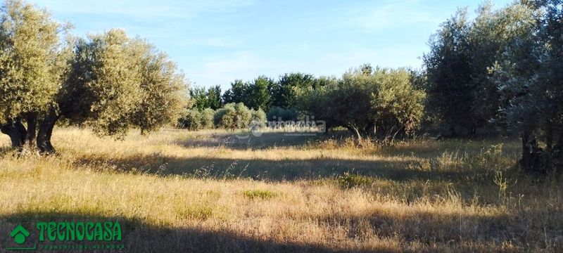 Foto 56b78a4c-83ee-46e5-ad1e-32858251ae72. Finca rústica a Méntrida