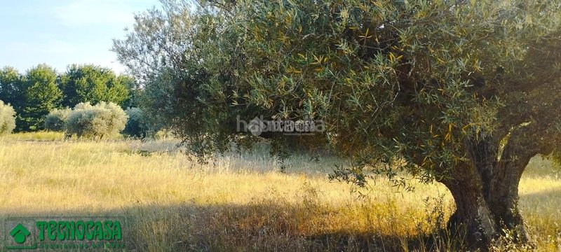 Foto 5fbc0b89-d44c-46ba-a724-0cdfdb5a5f71. Finca rústica a Méntrida
