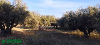 Finca rústica a Méntrida. Terrenos en venta en méntrida