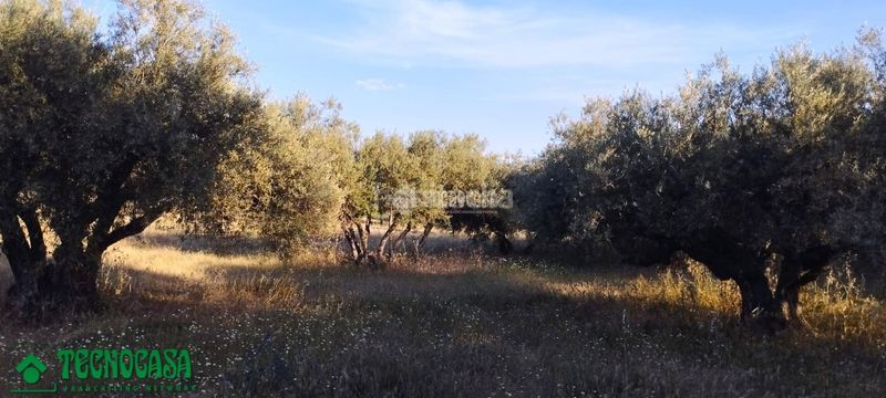 Foto 9c9673de-7204-4433-ac5e-fbcdf592ff4d. Finca rústica a Méntrida