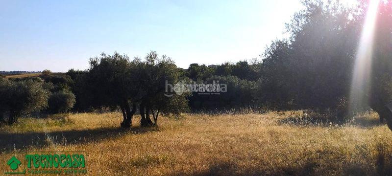 Foto aad7a802-fee9-4060-b41a-18cd16d163a6. Finca rústica a Méntrida