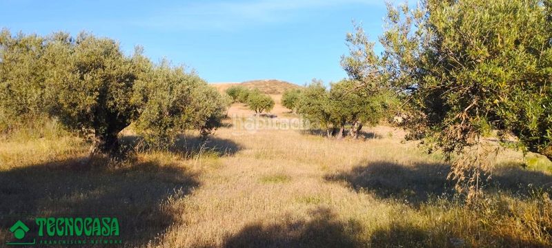 Foto c5f532f2-3c91-4e1b-aa8e-20f58c1a3d12. Finca rústica a Méntrida