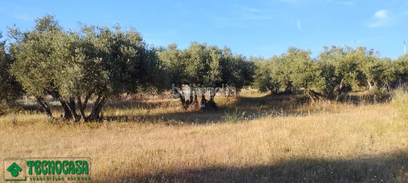 Foto d21a904f-f9ce-461f-a8eb-37e5554f3d7e. Finca rústica a Méntrida