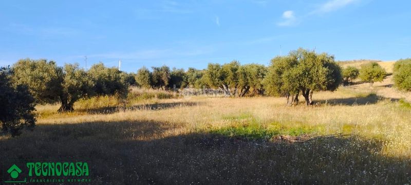 Foto dc9f66ef-8e30-49cf-86e8-02a0c7331dd4. Finca rústica a Méntrida