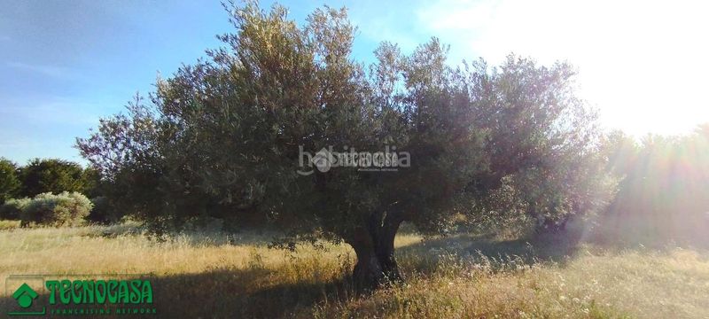 Foto f001eb69-f2aa-4489-9dc9-b839f6693602. Finca rústica a Méntrida
