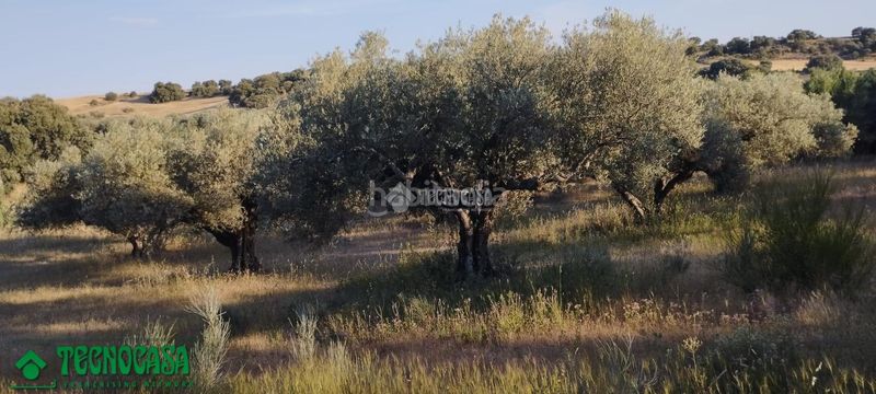 Foto 534292d8-307c-46e7-8333-cd501164c8c2. Finca rústica a Méntrida