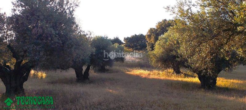 Foto 5ebbe58a-2e90-4591-bc09-830570e2720d. Finca rústica a Méntrida