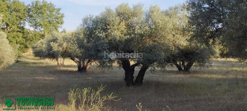 Foto 6c97cf77-9b04-4b3e-abcd-e62848d39e9c. Finca rústica a Méntrida