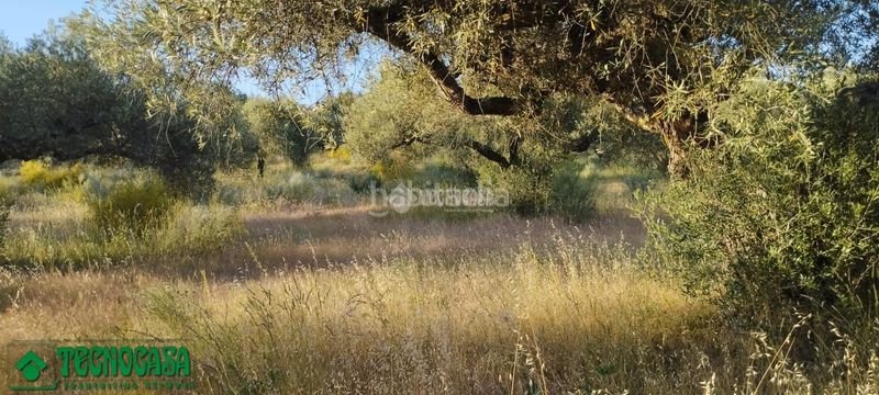 Foto 6e746b81-fb49-4acc-89ec-e7f117904e85. Finca rústica a Méntrida
