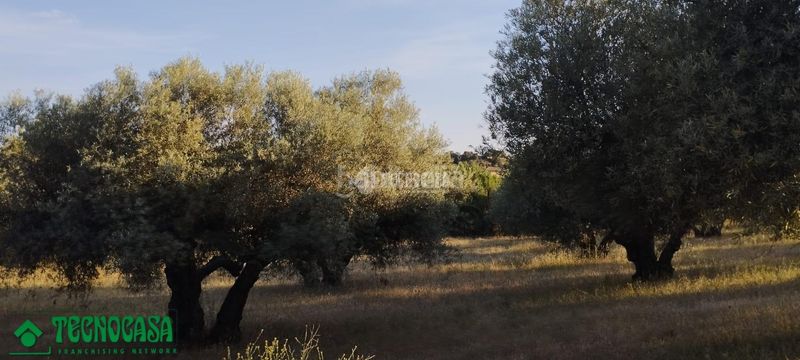 Foto 75c5d710-8772-4994-a4f6-ab79ab00b3dd. Finca rústica a Méntrida