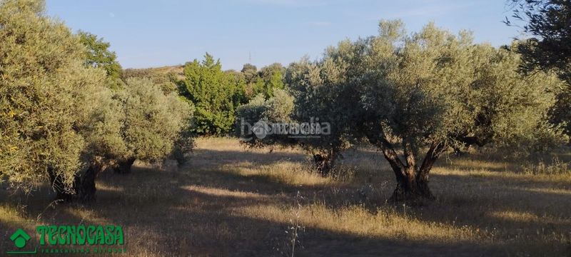 Foto 9d76b0e0-9ecc-4f2b-8655-04147944d66f. Finca rústica a Méntrida