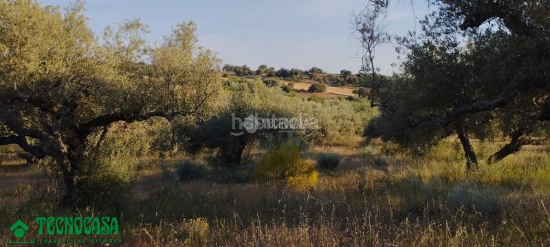 Foto a57c7b6e-1e0f-4088-9350-a548ff2b526a. Finca rústica a Méntrida