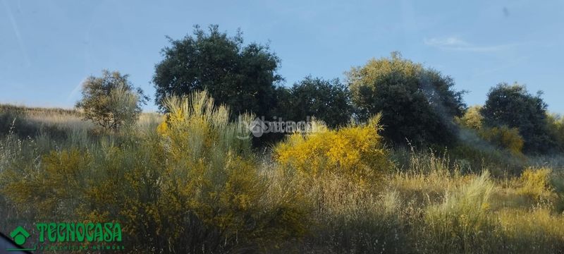 Foto a8a87921-06f2-4f8d-8a88-779100026f93. Finca rústica a Méntrida