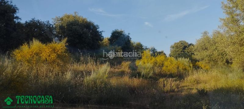 Foto a9484533-c701-4173-b5ac-0c2f05c3ea07. Finca rústica a Méntrida