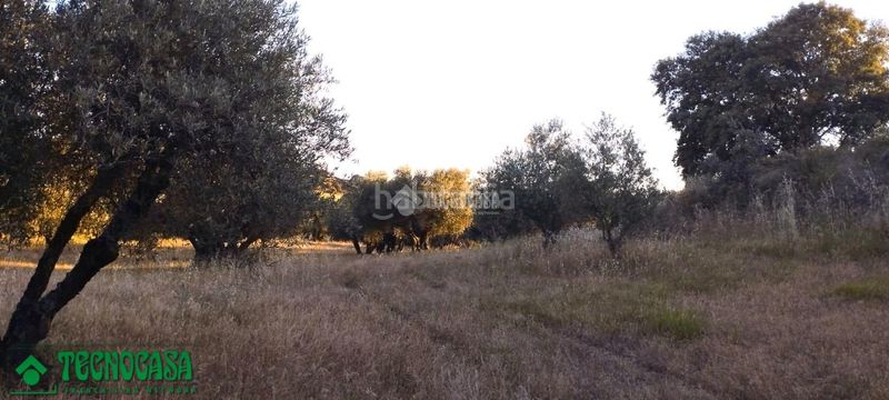 Foto b9edba87-9858-4dad-b0d3-980bcdd78eaa. Finca rústica a Méntrida