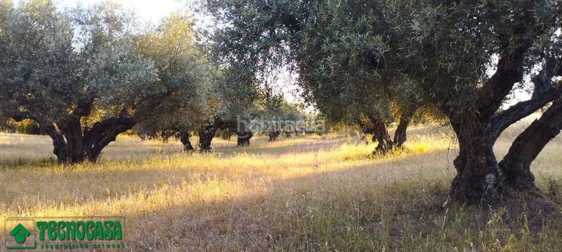 Foto bf6ce422-e011-4095-b617-012c0829c0ec. Finca rústica a Méntrida