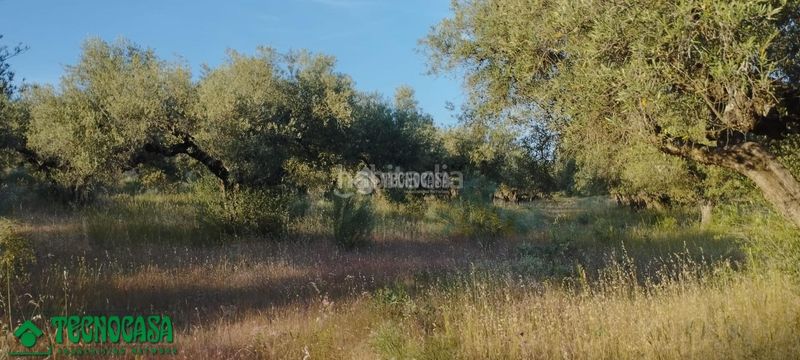Foto ce731ca3-a8b0-4e1c-b6a4-e8a44158ff9d. Finca rústica a Méntrida