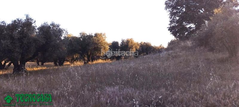 Foto d5d7b024-cb75-4f67-8a1d-5fc9489ad130. Finca rústica a Méntrida