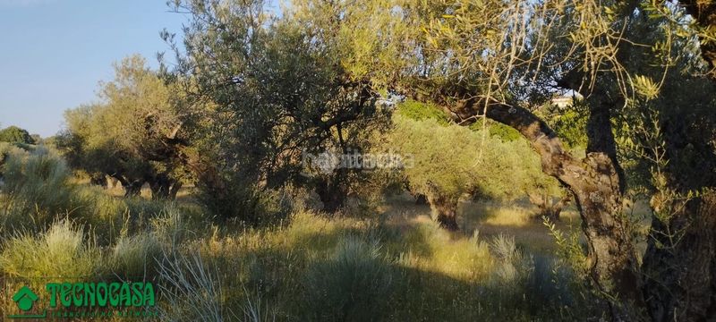 Foto e4402344-7529-4455-8cb7-aeb2984eeb9d. Finca rústica a Méntrida