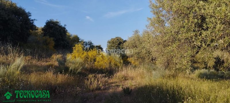 Foto e59cd563-b71f-42c0-ad0b-7f69eb122af6. Finca rústica a Méntrida