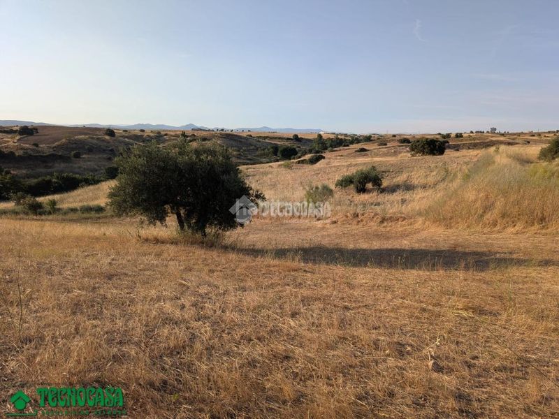 Foto 18be0154-8062-46d3-b00a-40d386e528c8. Finca rústica terrenos en venta en Méntrida
