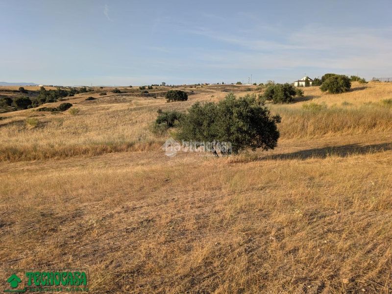 Foto d8bd3c13-6e06-40f4-abb0-789f3d850cf5. Finca rústica terrenos en venta en Méntrida