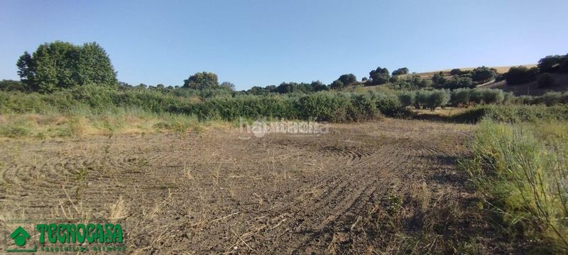 Foto 15c578e7-648d-46fe-b2ee-a0d1014faab8. Finca rústica terrenos en venta en Méntrida