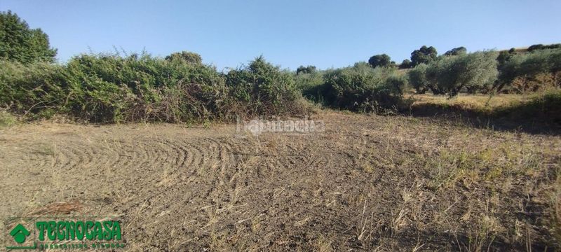 Foto 328d6ebc-90ba-4448-b7d5-882831d598ca. Finca rústica terrenos en venta en Méntrida