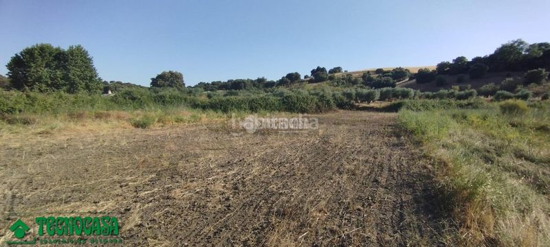 Foto 501d38ff-572a-433b-ba84-bdcb38551504. Finca rústica terrenos en venta en Méntrida