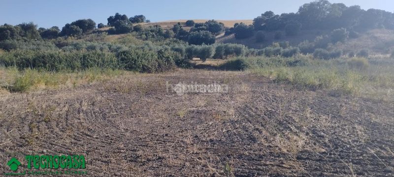 Foto a286e44e-79bc-4fe4-b648-be0fe39fe009. Finca rústica terrenos en venta en Méntrida