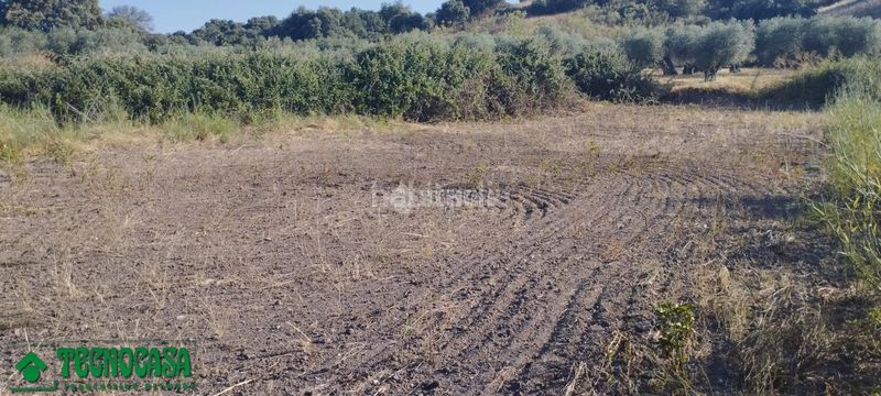 Foto ae455c33-0727-4ae4-a42e-f1f5173f485d. Finca rústica terrenos en venta en Méntrida