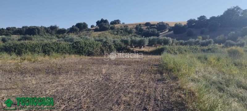Foto e35c13b4-6493-4c44-b9a9-b4a8e249beae. Finca rústica terrenos en venta en Méntrida