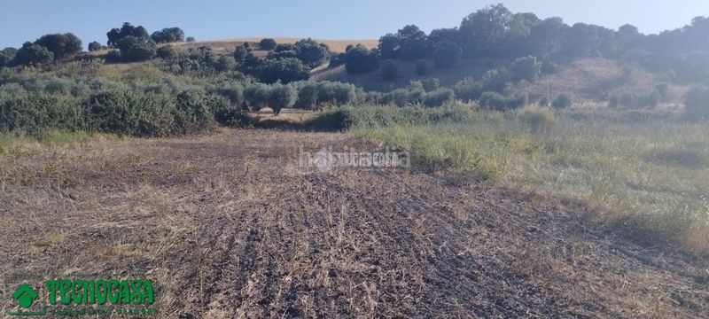 Foto ea8278e8-cc0b-461e-a681-012e25f9d3d2. Finca rústica terrenos en venta en Méntrida
