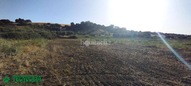 Foto ec0537f6-c048-4a82-ae7a-39eb3e60ede6. Finca rústica terrenos en venta en Méntrida