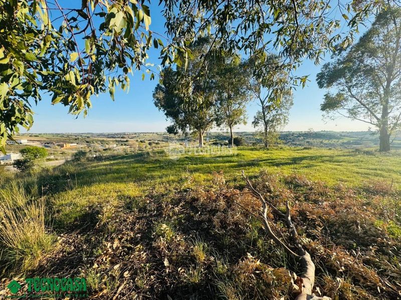 Foto bed0f1b3-c921-4fb6-b56a-948842603c4a. Terreny residencial a Méntrida