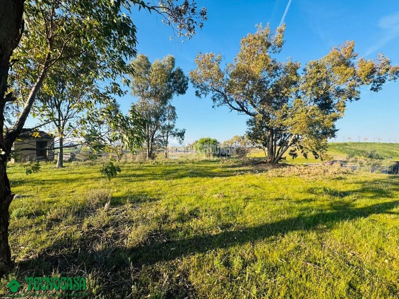 Foto f0c8a917-4292-4b58-a536-726a0a14aa61. Terreny residencial a Méntrida