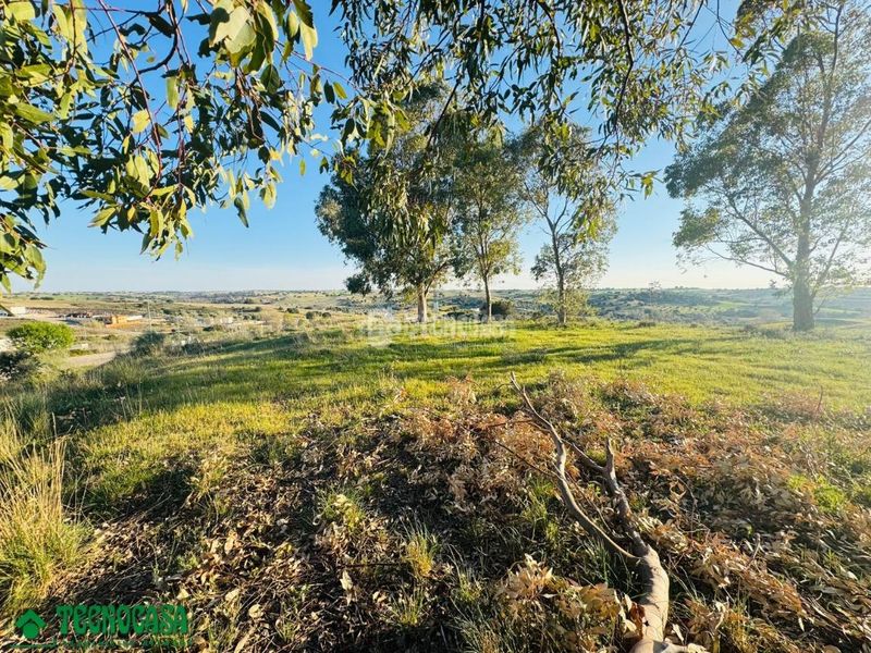 Foto fbb53abd-3b3c-4c47-84de-9b73184217c8. Terreny residencial a Méntrida