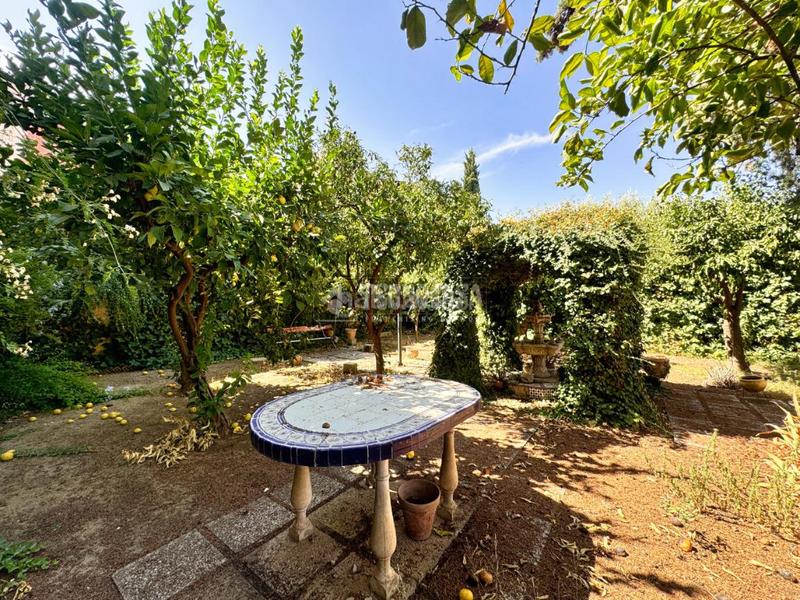 Foto 3819a769-65e3-4d09-bf20-8b8ecae03619. Casa in Centro ciudad Linares