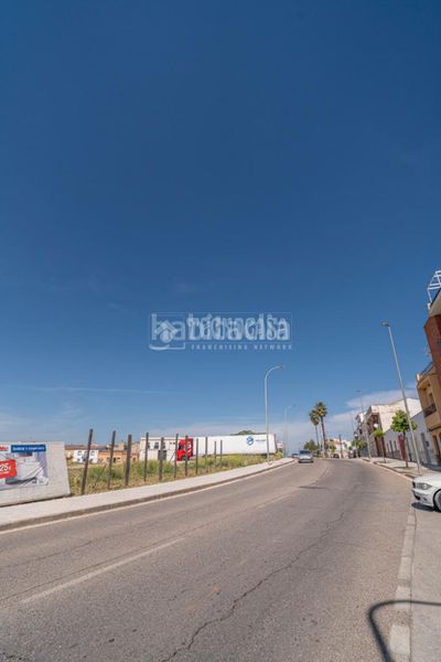 Foto 034d33ab-2e57-4193-95e8-e9882c50d722. Pis a Arrayanes Linares