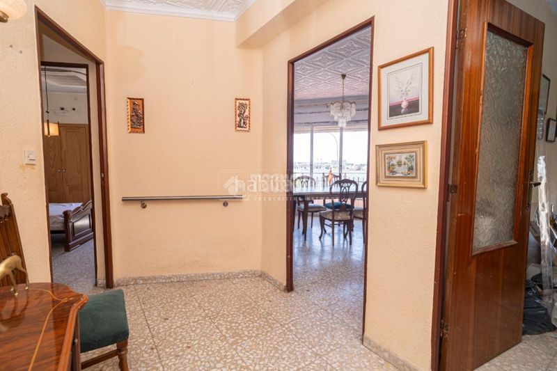 Foto 068a57a5-1a41-44cb-bfd0-bf0bc4c4beea. Pis a Arrayanes Linares