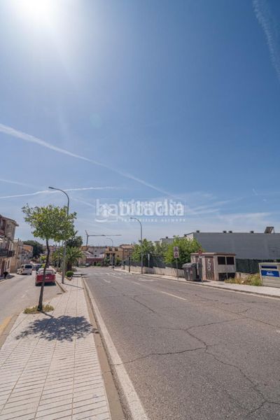 Foto 10cef89c-18e7-40f4-aad1-770392d2d47e. Pis a Arrayanes Linares