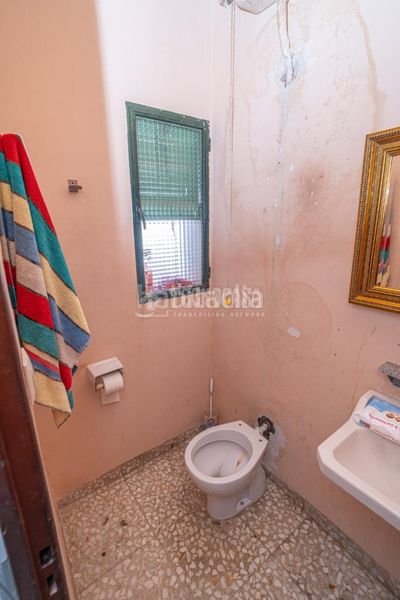 Foto 42a7da56-c311-45d0-ad0c-d6136a5175f3. Pis a Arrayanes Linares