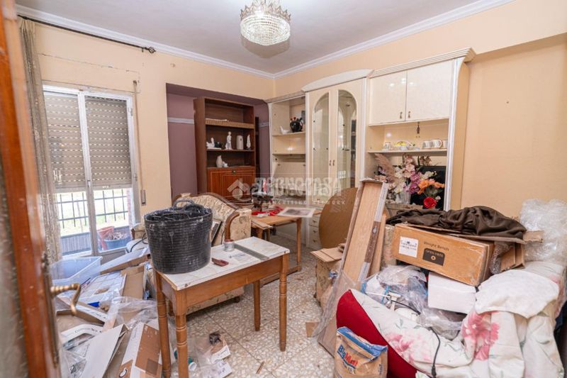 Foto 9d016f8b-714e-4e4a-a981-dde092d2c756. Pis a Arrayanes Linares