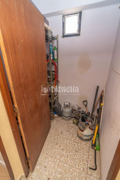 Foto fcc1bca7-e354-42a1-b740-e403f5ea1c3d. Pis a Arrayanes Linares