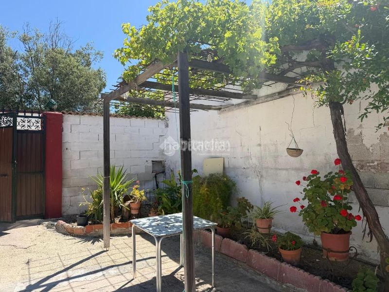 Foto c0dff6e8-0ef6-4aa1-87b5-2550ddb158d2. Masia a San Bartolomé - Millán de Priego Jaén