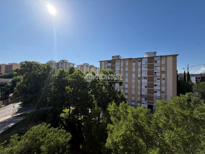 Foto ee56c43b-0281-4d99-97ea-d1c32c0a6ff8. Pis a El Valle - Universidad Jaén