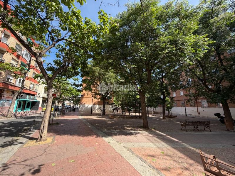 Foto c9c6e312-e03f-48b1-9032-71676e4962f1. Pis a Centro Torrejón de Ardoz